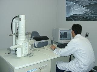 図:走査電子顕微鏡を用いた天敵農薬の検査